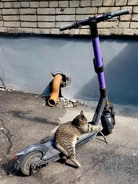 b0fa855226b532db2fd5d47eeaefdea0.jpg.web