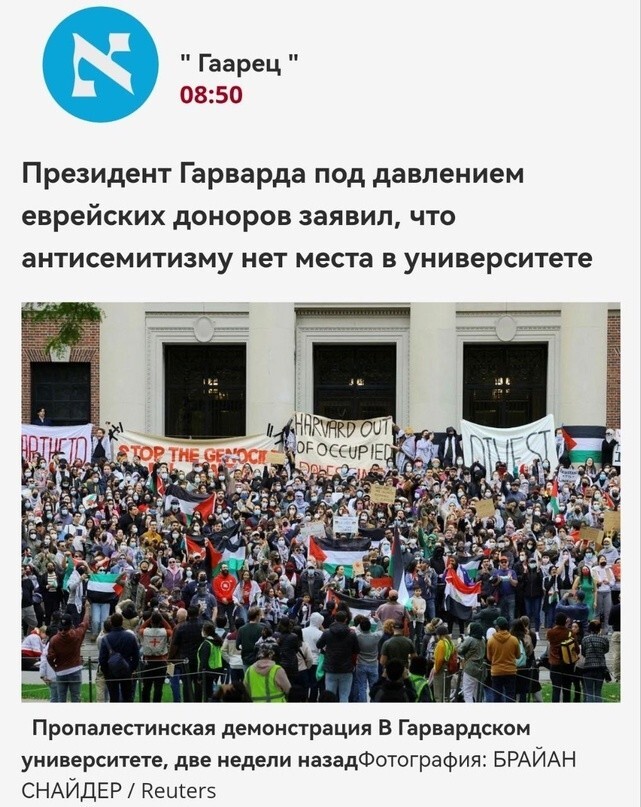 Президент Гарвардского университета отказалась осудить митинги студентов в поддержку Палестины