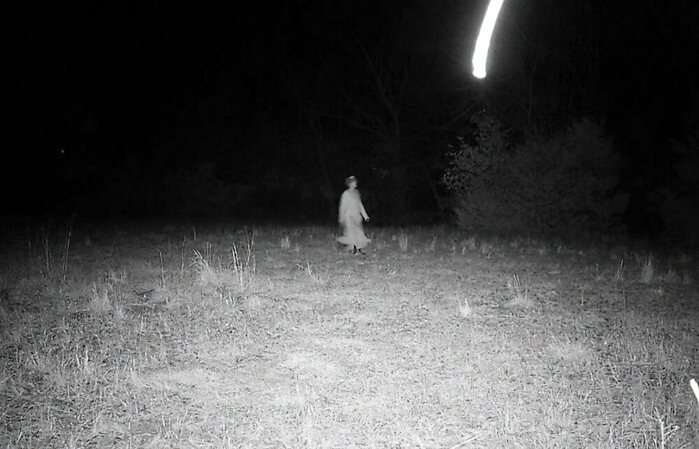 14. «Лесная фотоловушка в Шони, штат Оклахома»
