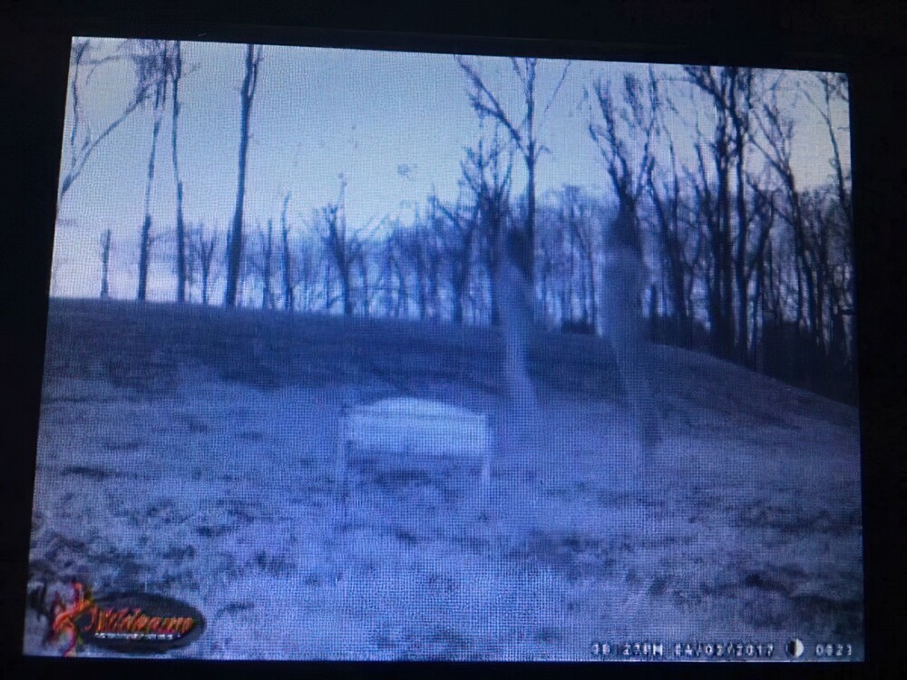 19. «Фото с камеры наблюдения, сделанное после того, как было вырыто озеро. Команда охотников за привидениями назвала это "людьми-деревьями"»