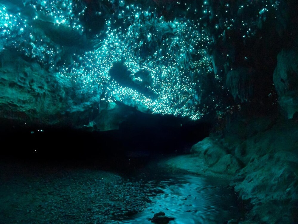 11. Пещера светлячков в Новой Зеландии