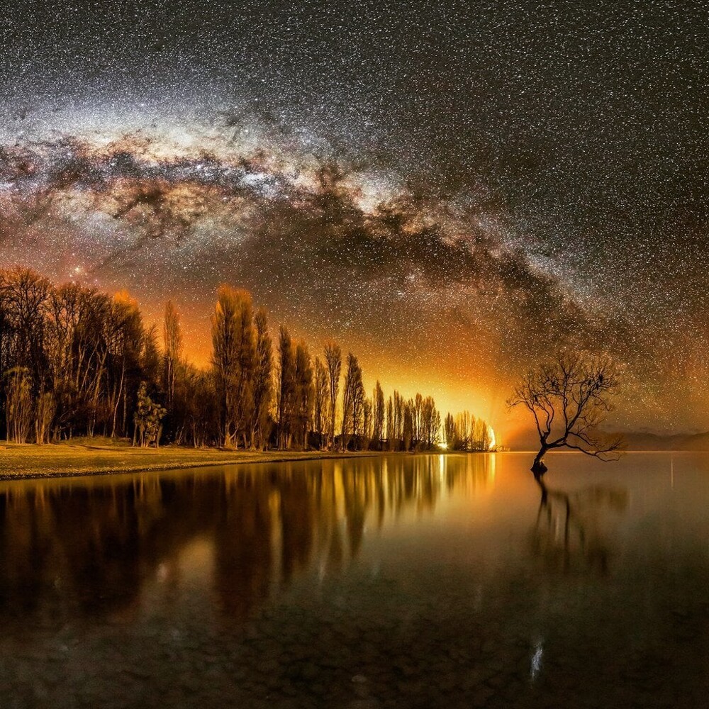 2. Одинокое дерево под Млечным Путем в Ванаке, Новая Зеландия  Автор: Майк Макинвен