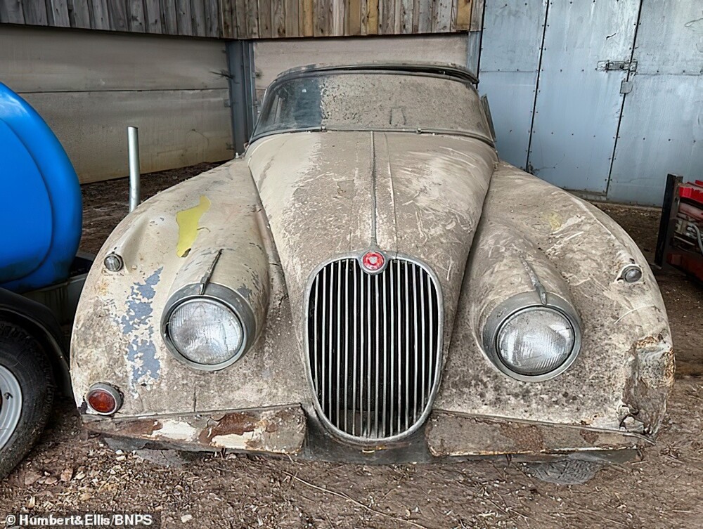 В курятнике английского фермера нашли Jaguar 1958 года выпуска