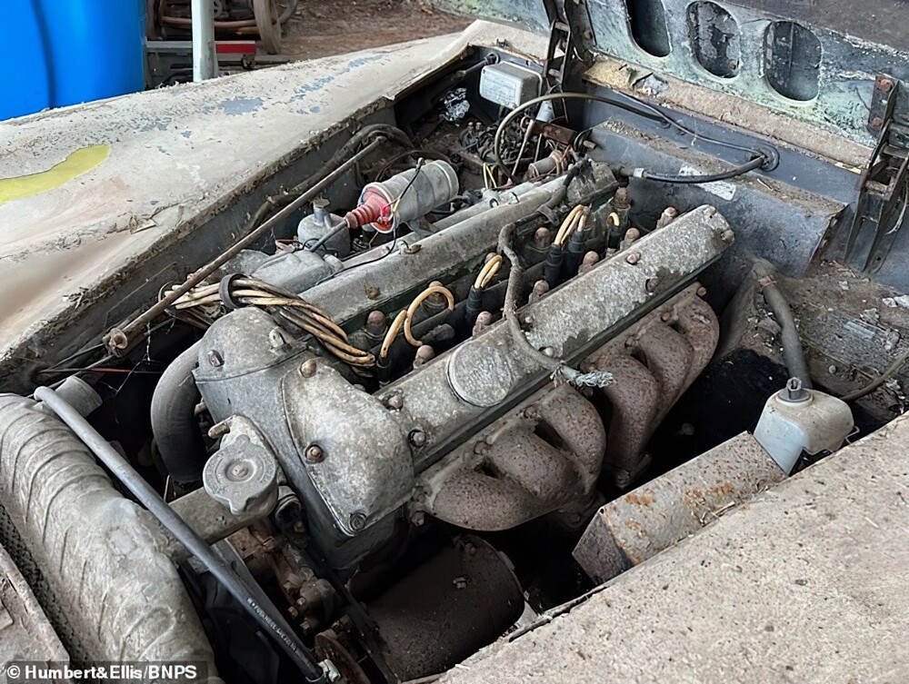 В курятнике английского фермера нашли Jaguar 1958 года выпуска