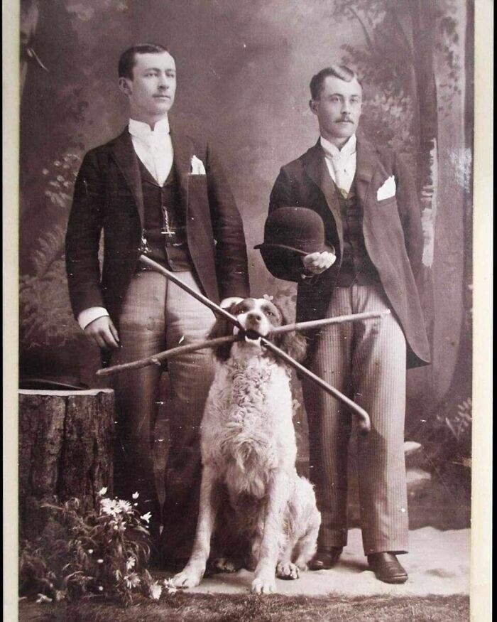 19. Два джентльмена и их совершенно восхитительная собака, которая держит в пасти две трости, 1890-е годы
