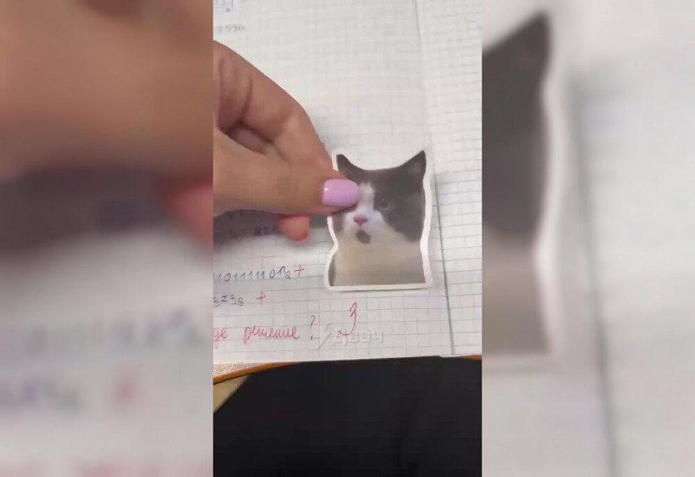Якутская учительница дополняет оценки котиками