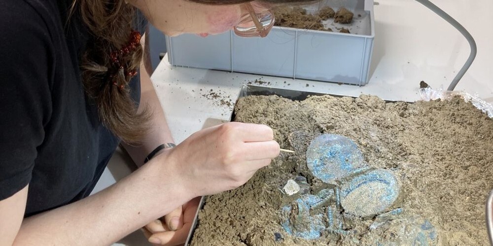 Зуб бобра, акулы и золотые украшения бронзового века: в Швейцарии обнаружили необычный клад