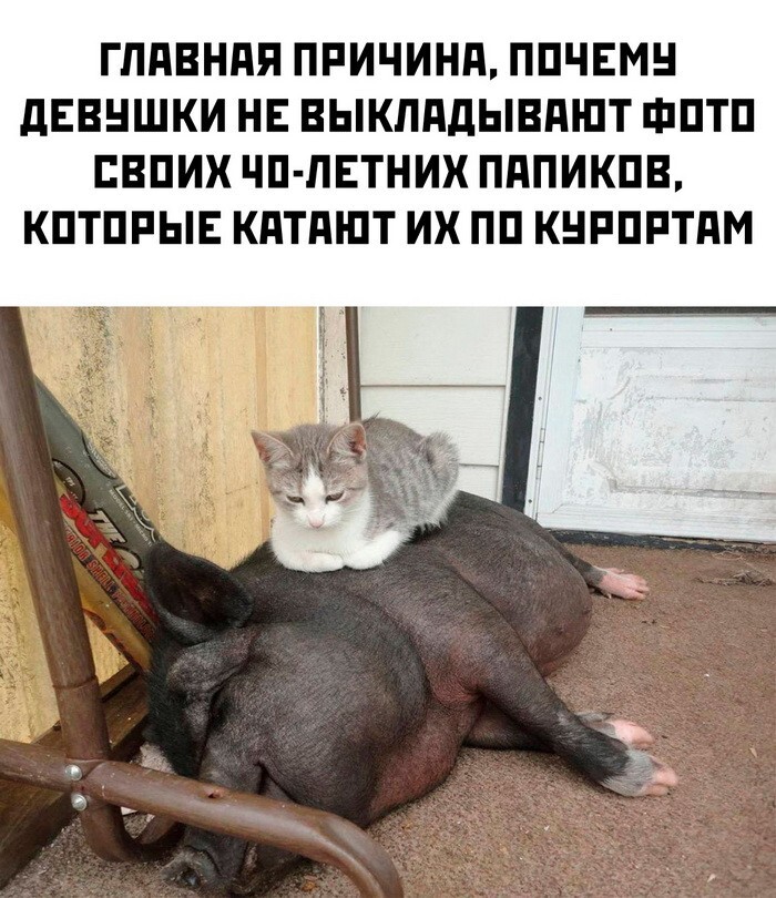 Скрины из соцсетей 