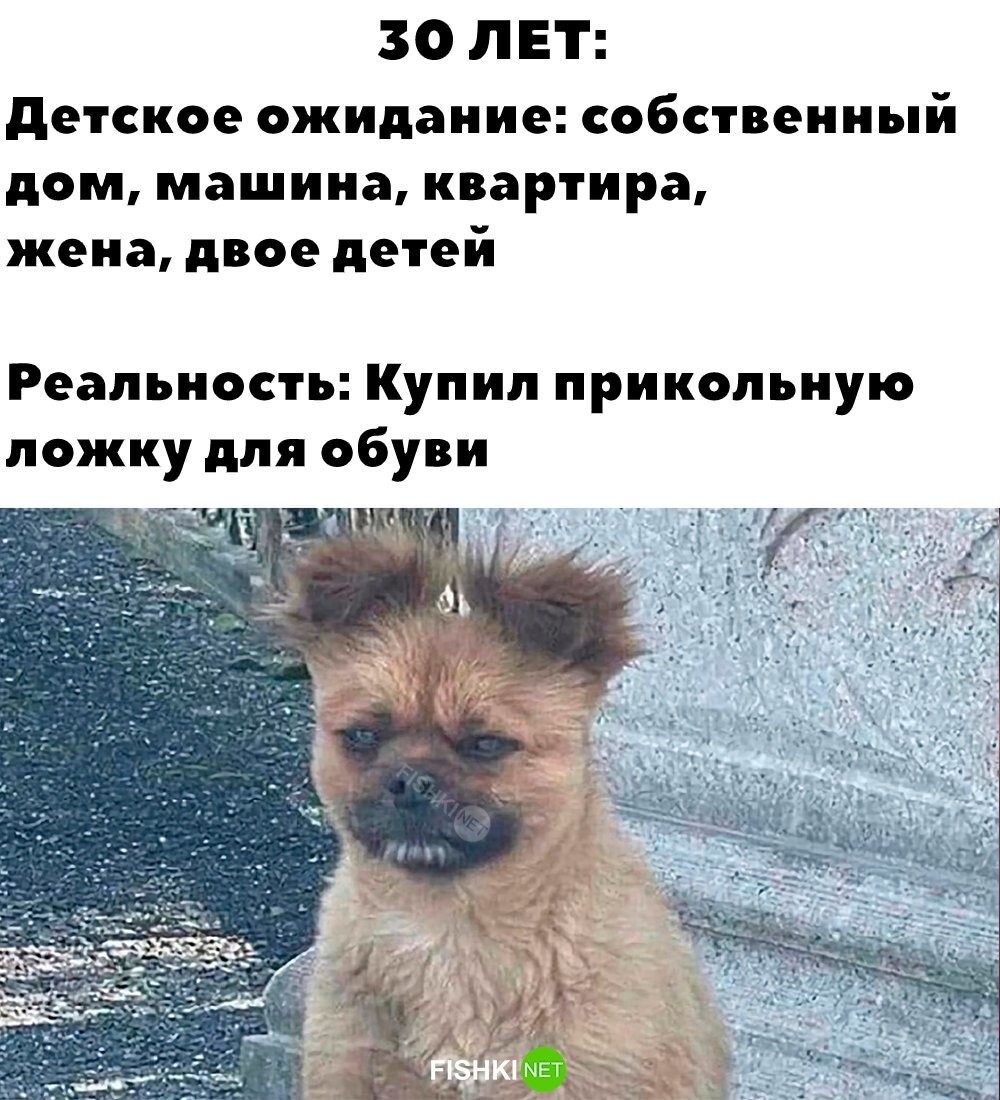 Ожидание и реальность