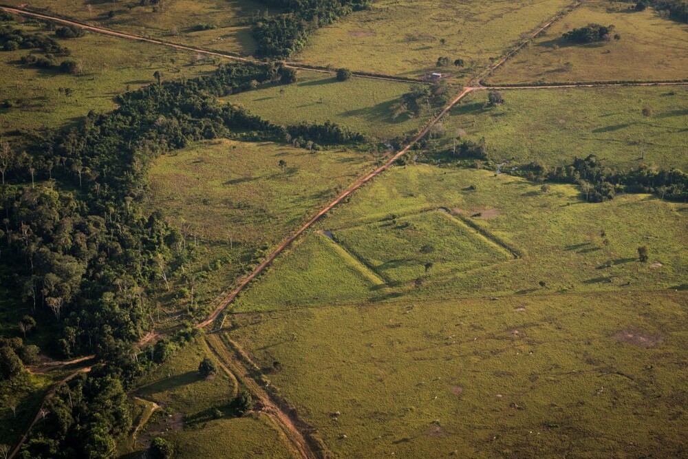 Древние сооружения доколумбовых времён, обнаруженные в лесах Амазонки