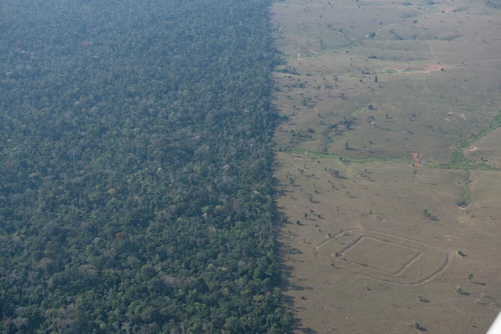 Древние сооружения доколумбовых времён, обнаруженные в лесах Амазонки