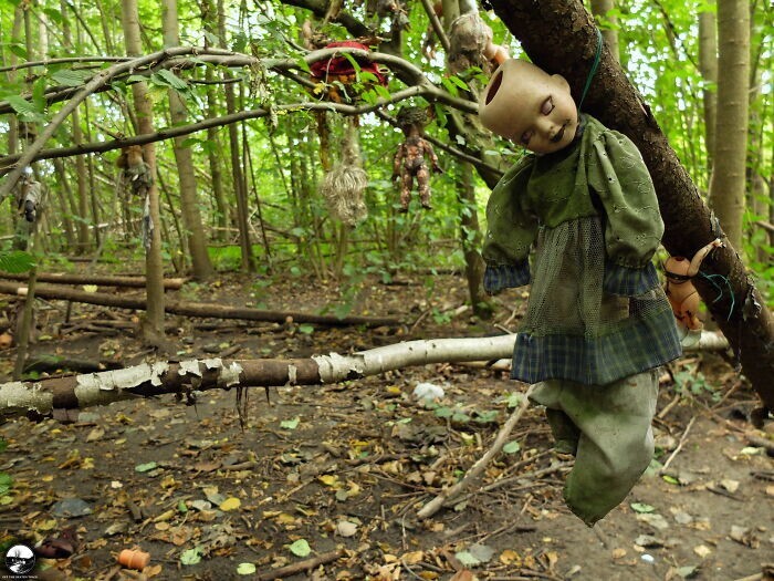 9. Куклы в лесу где-то в Германии