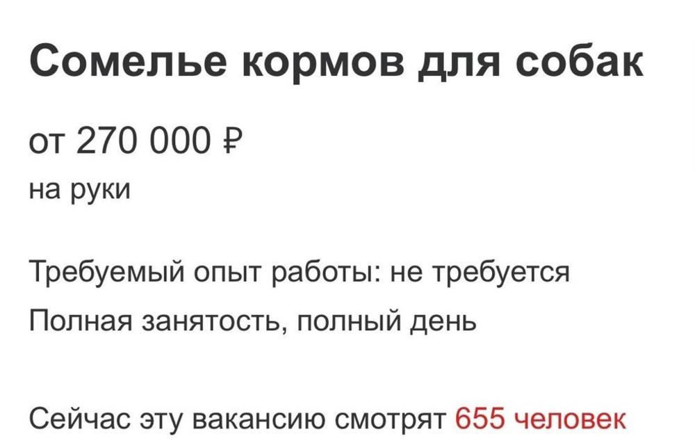 Вакансия месяца: в Новосибирске ищут кандидата на собачью работу с зарплатой от 270 тысяч рублей