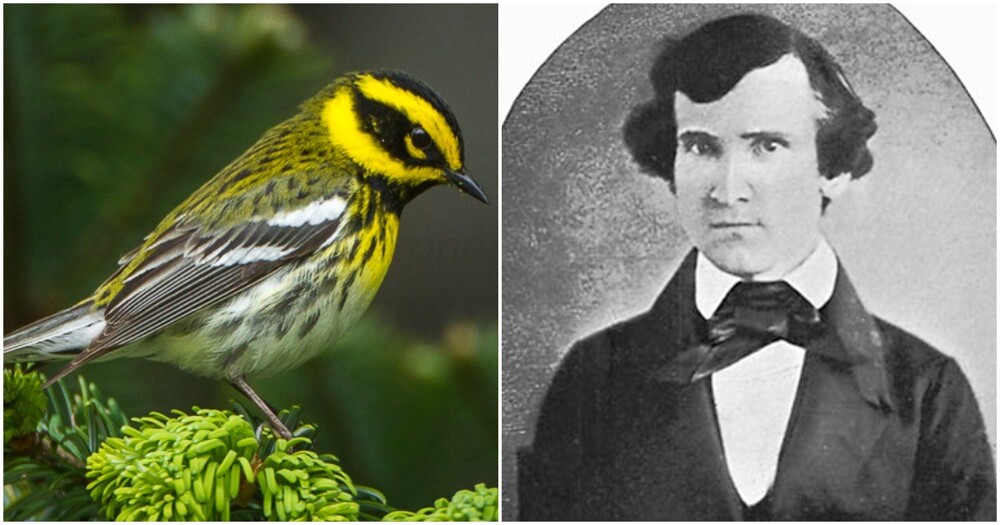 Американские орнитологи переименуют десятки видов птиц, названных в честь неоднозначных исторических фигур
