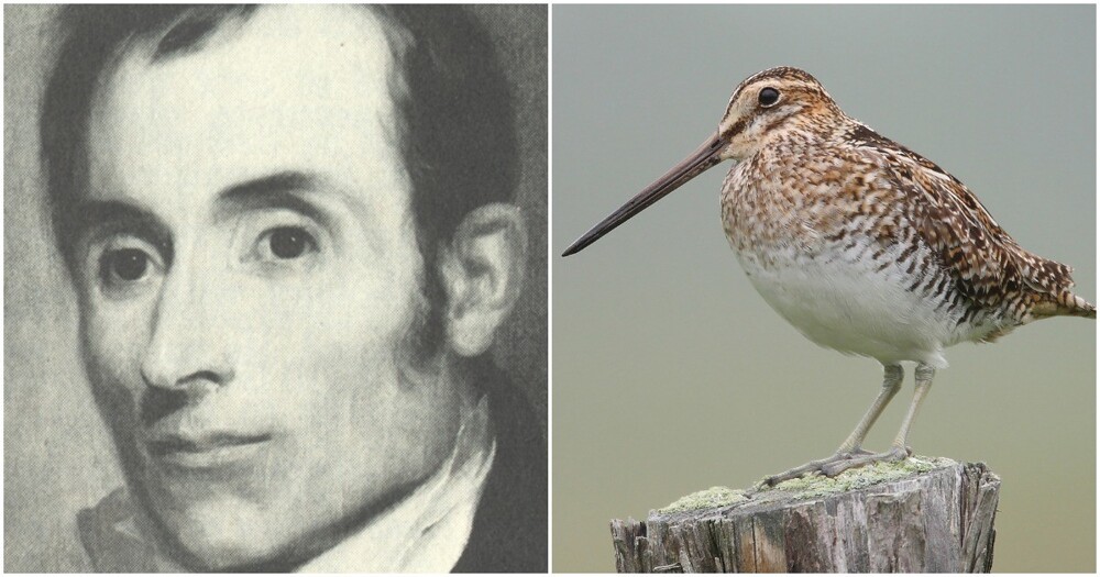 Американские орнитологи переименуют десятки видов птиц, названных в честь неоднозначных исторических фигур