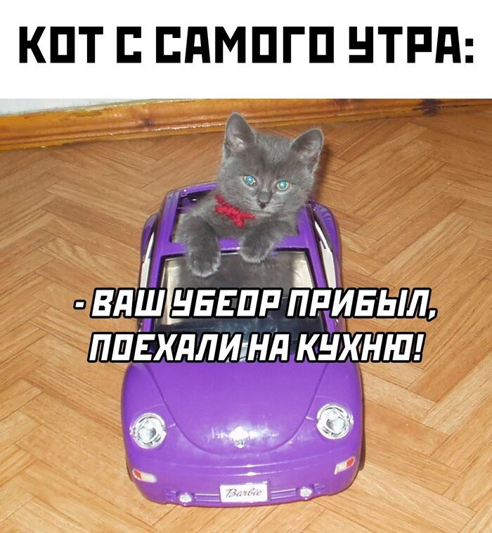 Скрины из соцсетей 