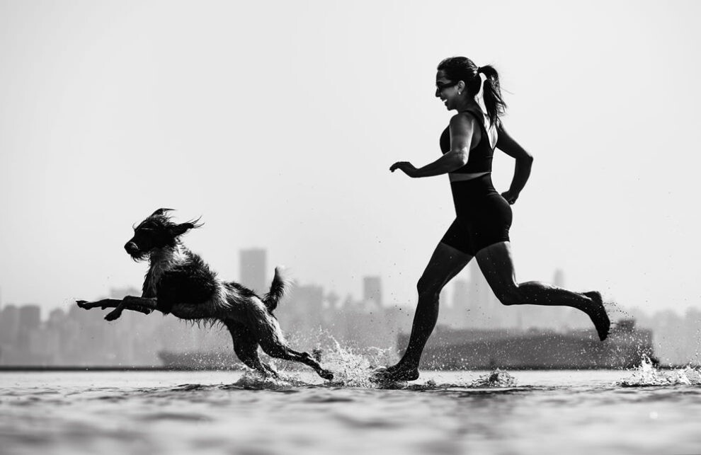 Очаровательные пёсики на лучших фото конкурса "Dog Photography Awards 2023"