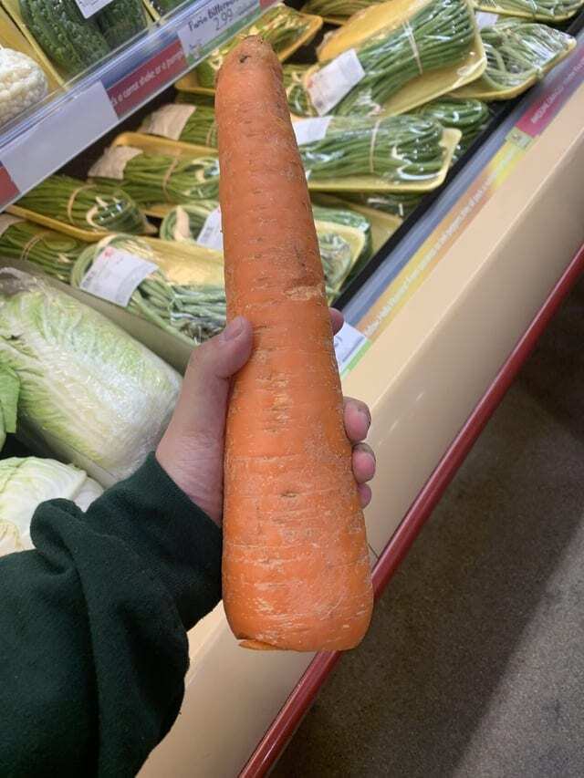 Годовой запас моркови в одной моркови
