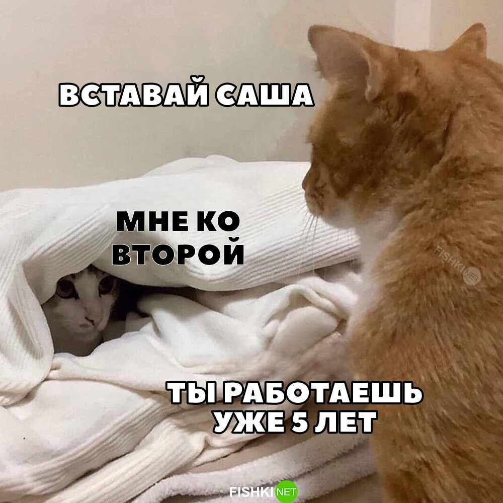 Мне ко второй