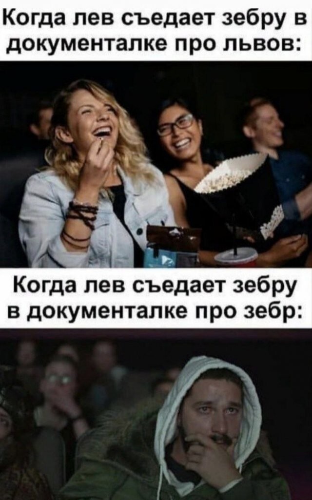 Скрины из соцсетей 