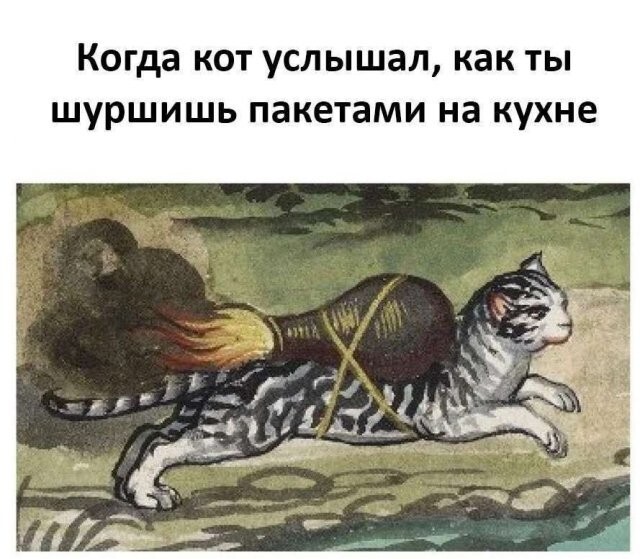 Скрины из соцсетей 