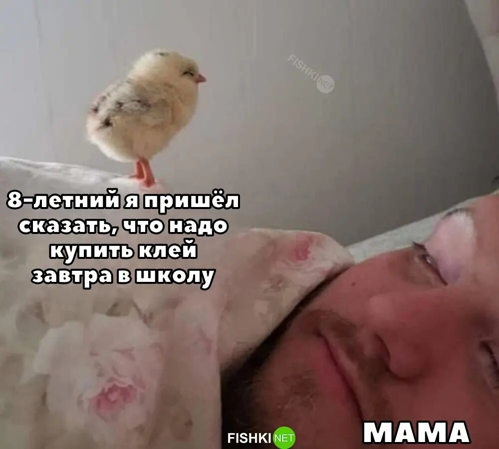 Скрины из соцсетей 