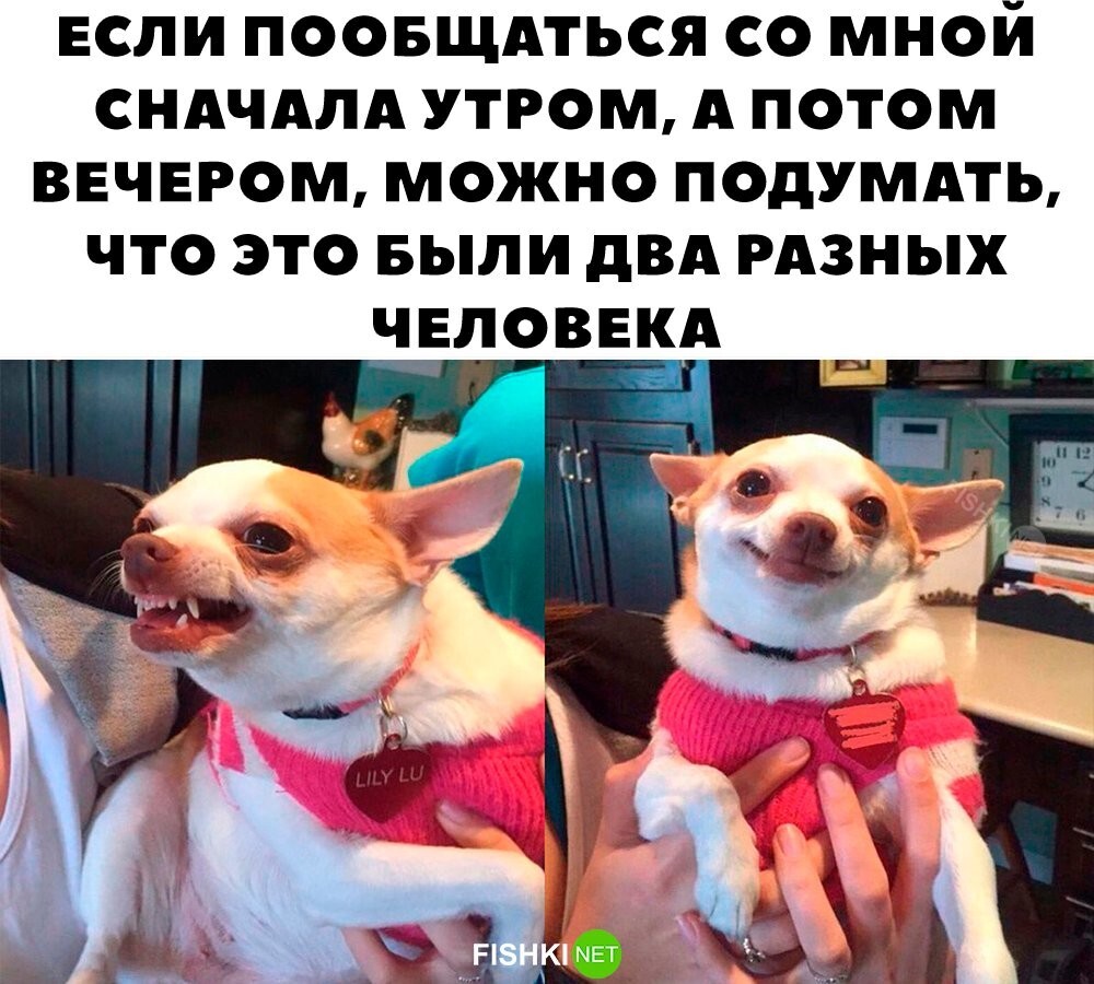 У всех так? 