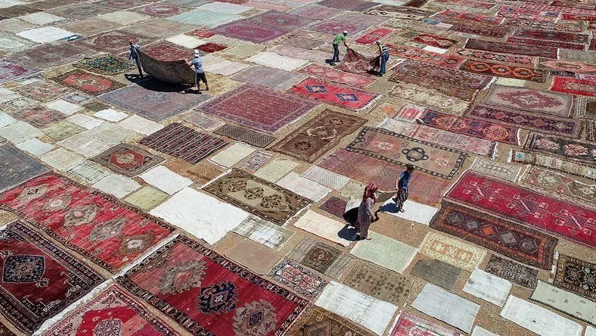 Что выращивают турки на ковровых полях?