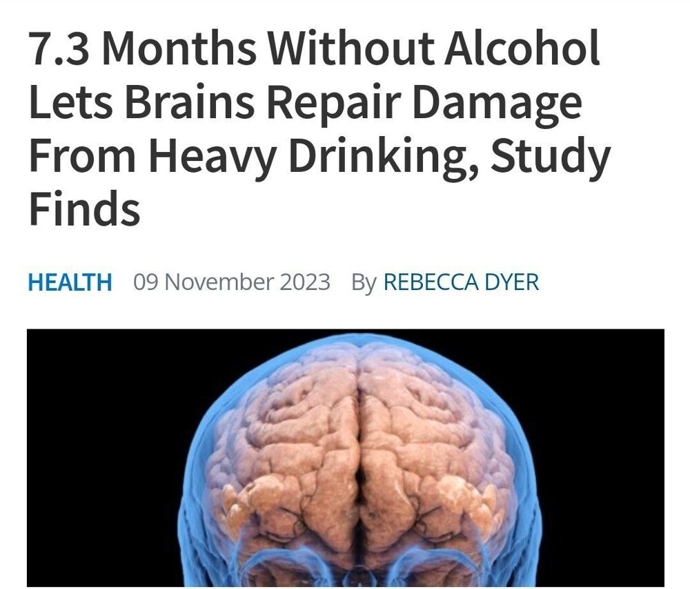 Ученые выяснили, сколько времени нужно мозгу, чтобы восстановиться после пьянки
