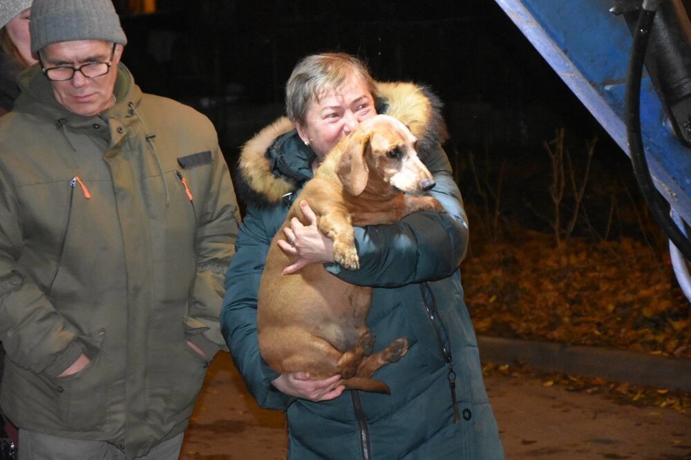 В Подольске спасли собаку, застрявшую между трубами в канализационном люке