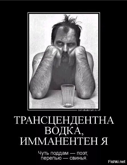 Солянка от 11.11.2023