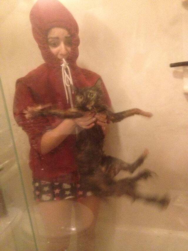 «Моя сестра попыталась помыть кота. Кот был против»