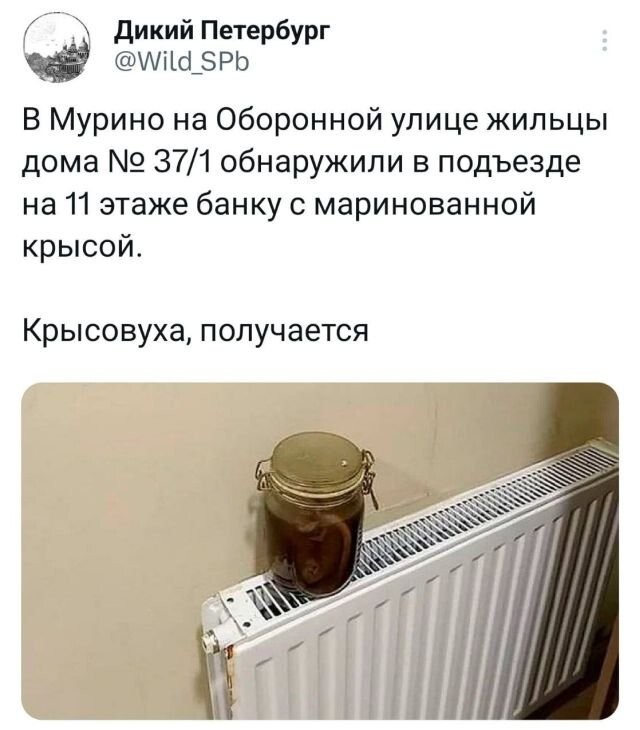 Не ищите здесь смысл. Здесь в основном маразм