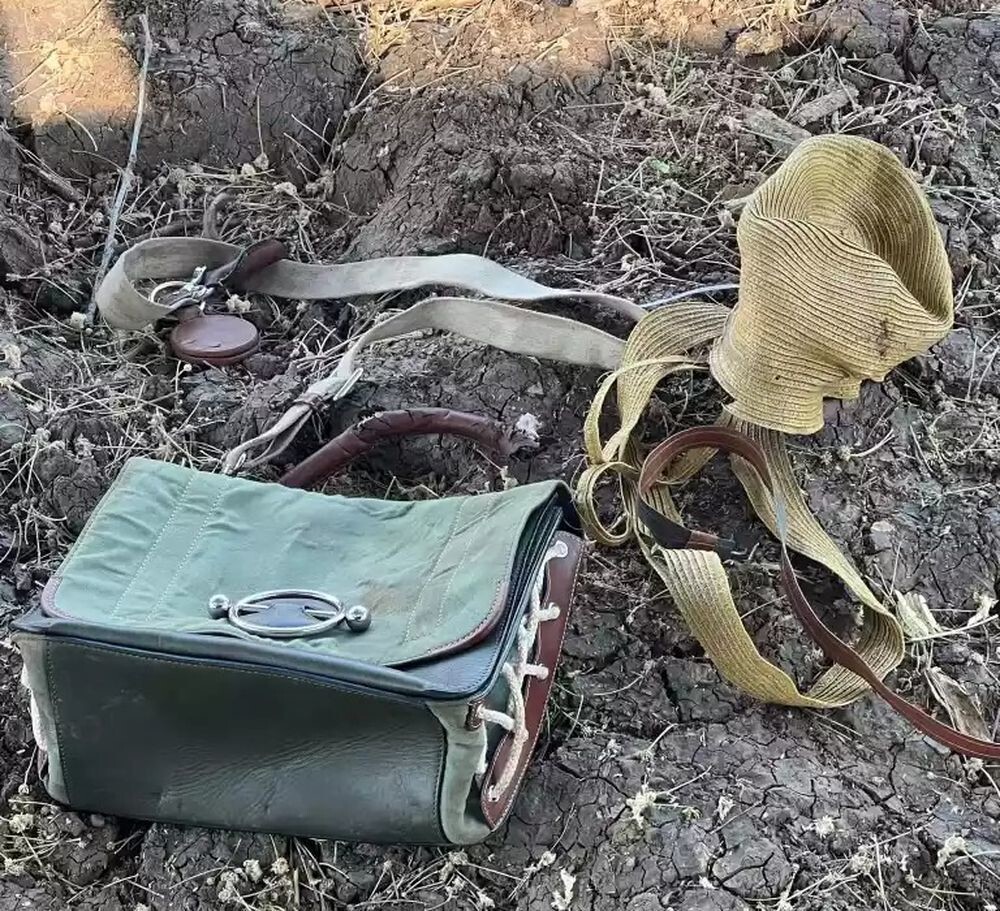 В Намибии львицы украли у женщины сумочку