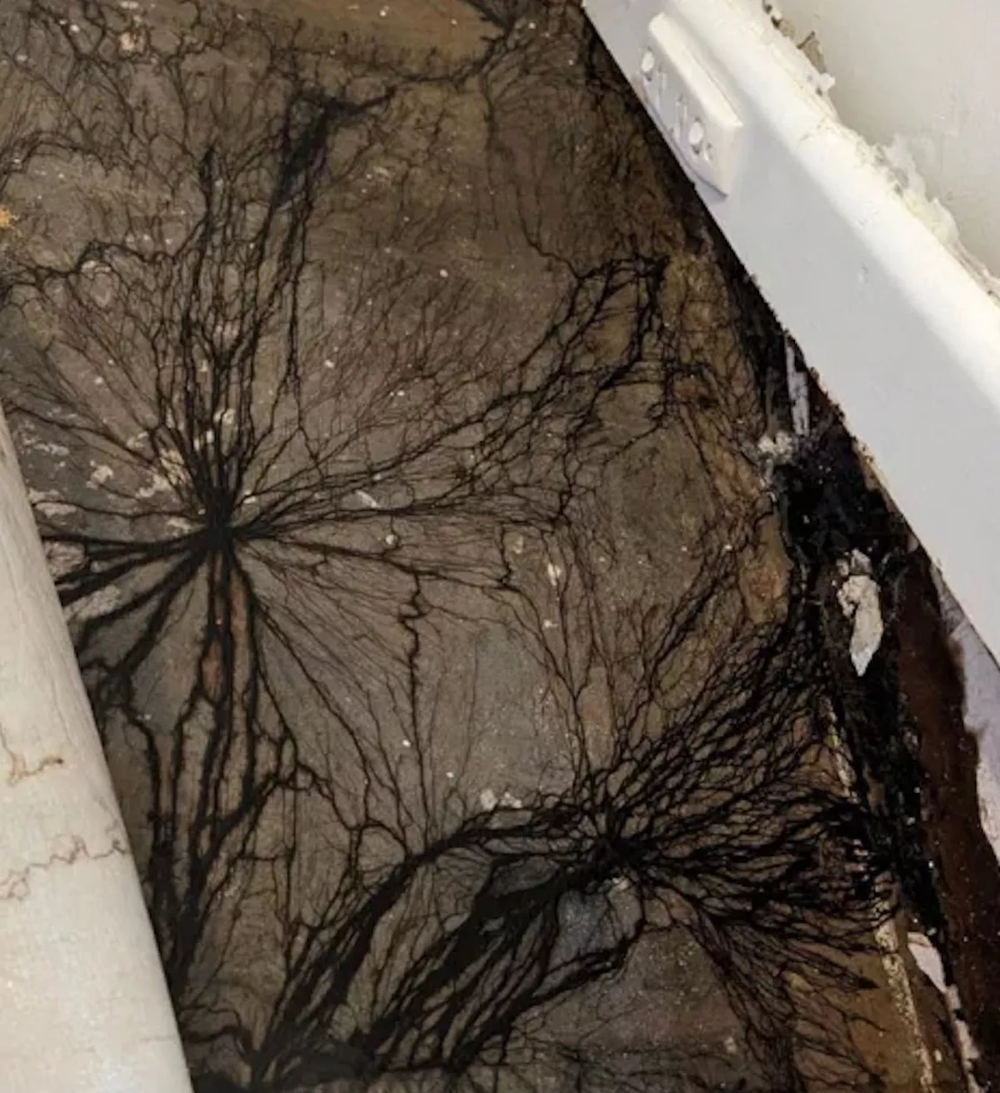 Австралийка обнаружила во время ремонта пугающие чёрные наросты на полу
