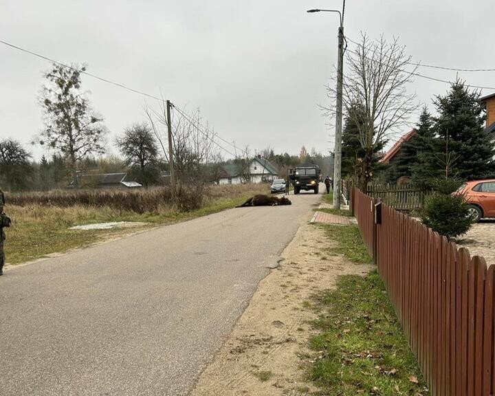 Сейчас вам станет очень грустно