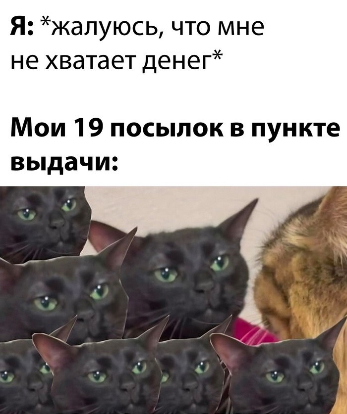 Скрины из соцсетей 