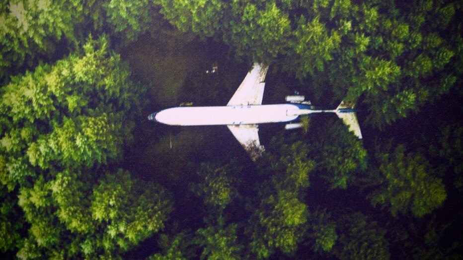 Брюс Кэмпбелл — человек, который живёт в самолёте посреди леса