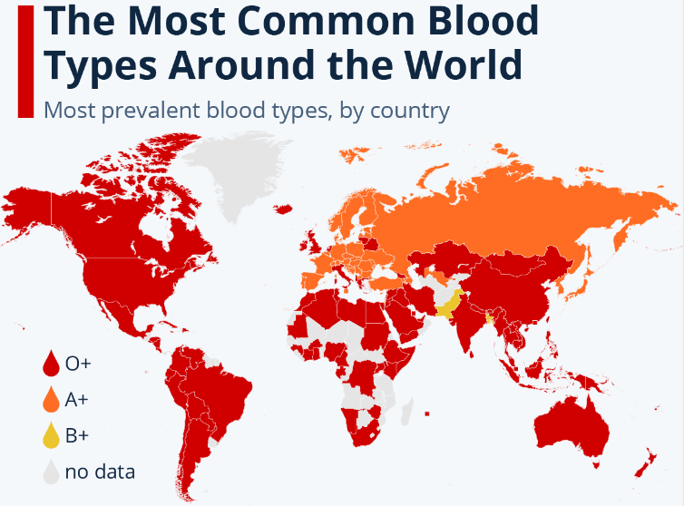 32. Самая распространенная группа крови
