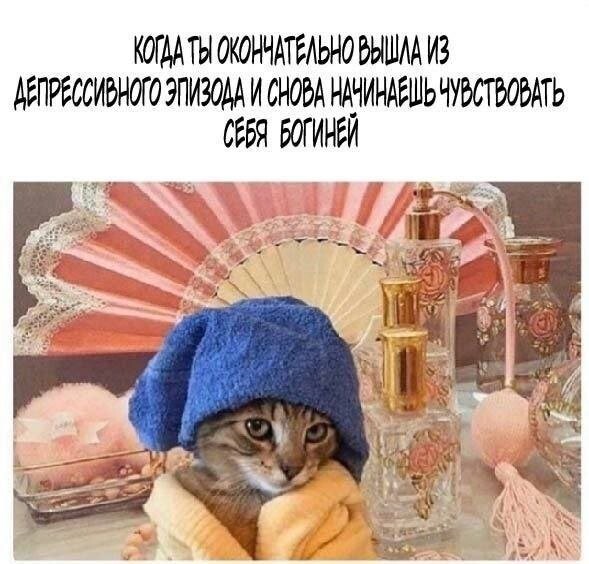 Скрины из соцсетей 