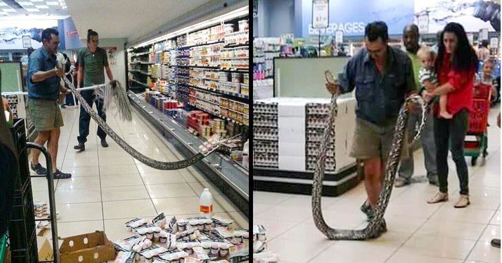 1. Четырёхметровая змея в холодильнике супермаркета в Йоханнесбурге, Южная Африка