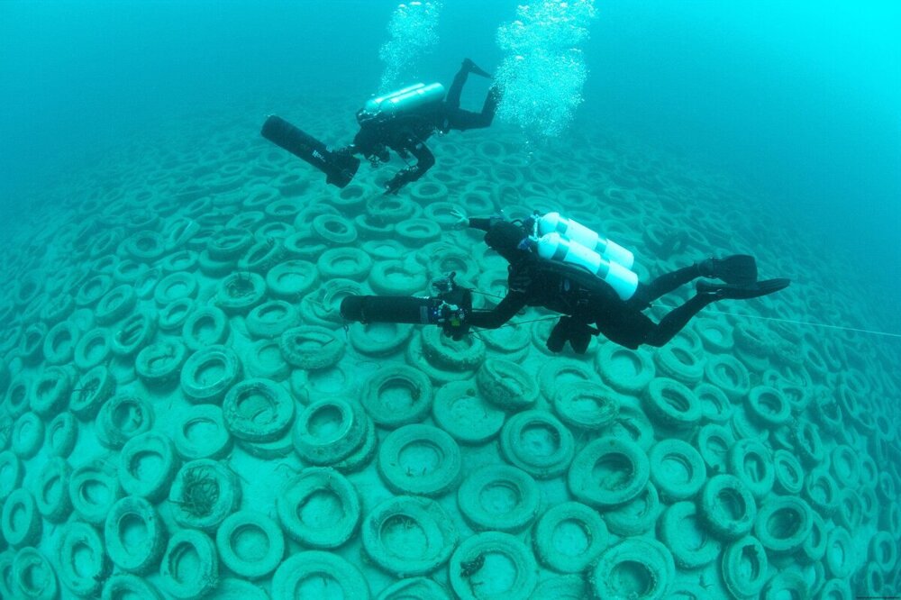 Токсичные рифы. Во Флориде затопили 2 миллиона шин, что с ними стало спустя 50 лет