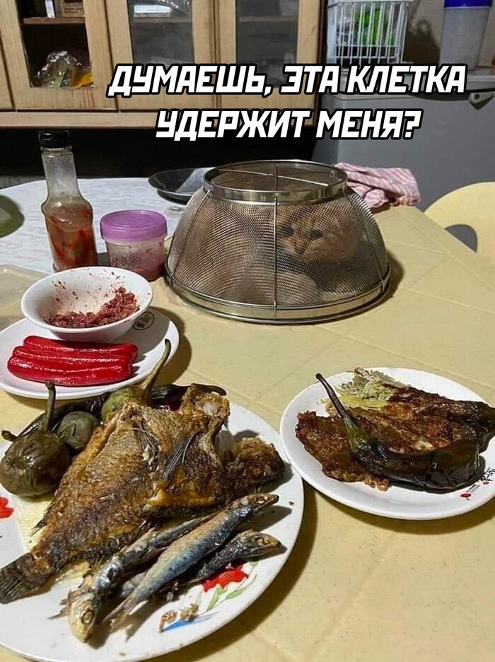 Скрины из соцсетей 