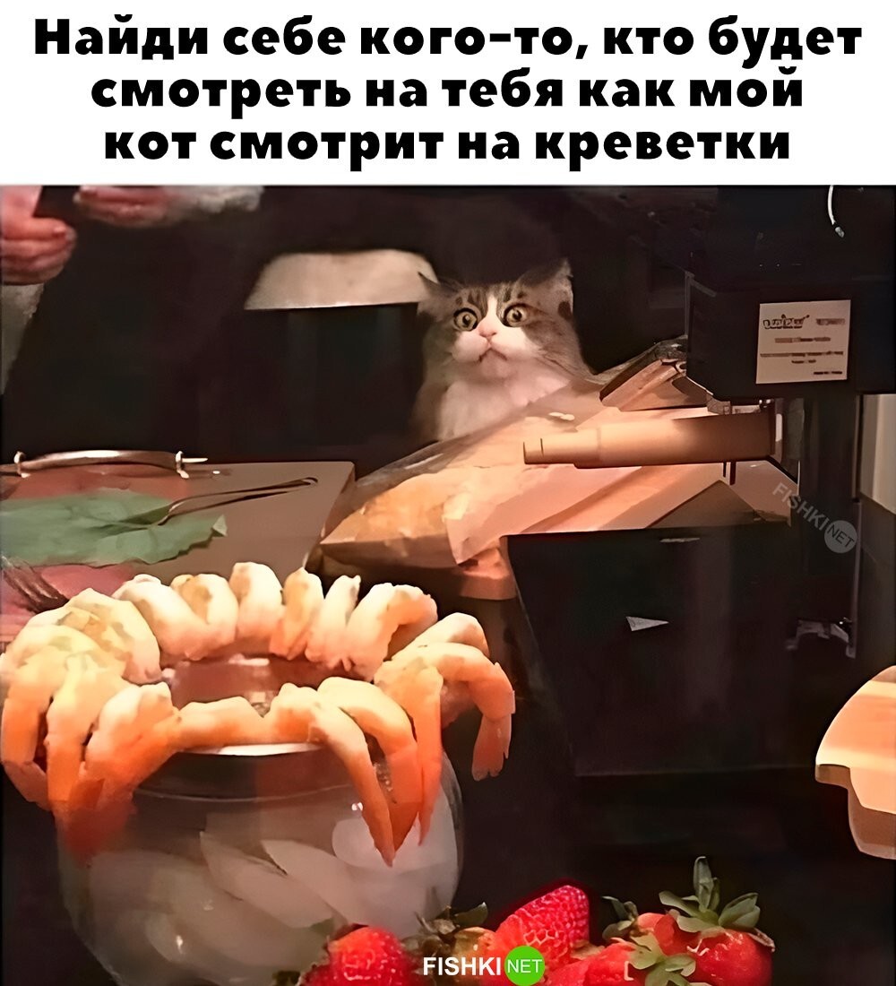 Этот взгляд