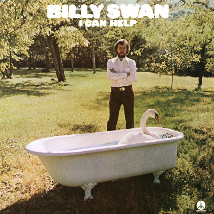 5. «Билли Суон (swan, лебедь), "Я могу помочь". Эта птица, видимо, исполняет на альбоме свою лебединую песню»