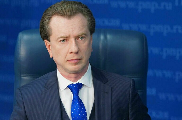 Депутат Госдумы обратился в прокуратуру после одобрения в Бурятии эвтаназии для бродячих собак