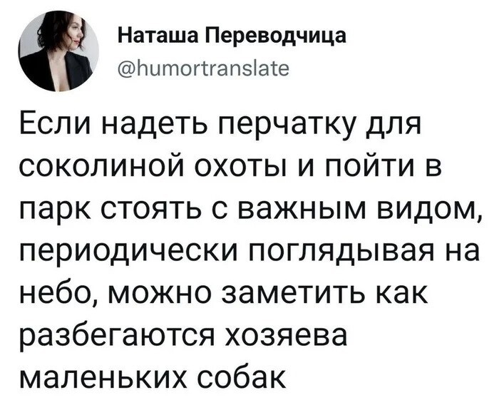 Не ищите здесь смысл. Здесь в основном маразм