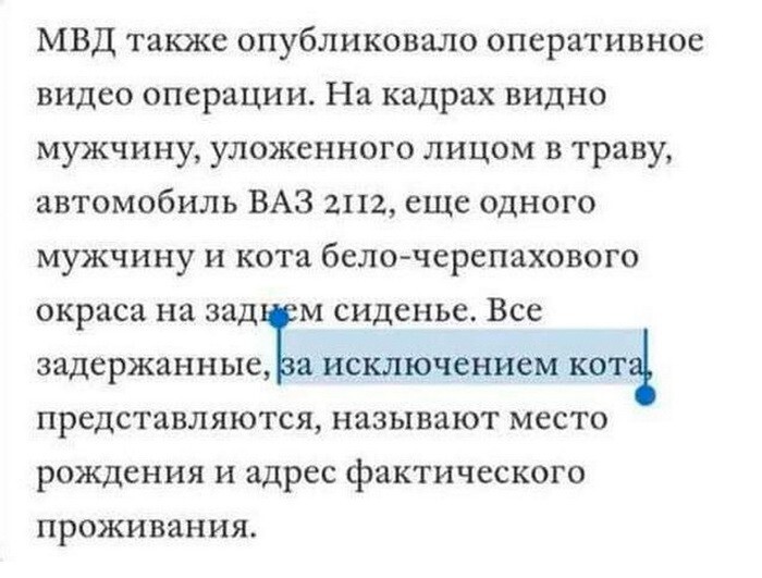 Не ищите здесь смысл. Здесь в основном маразм от АРОН за 21 ноября 2023