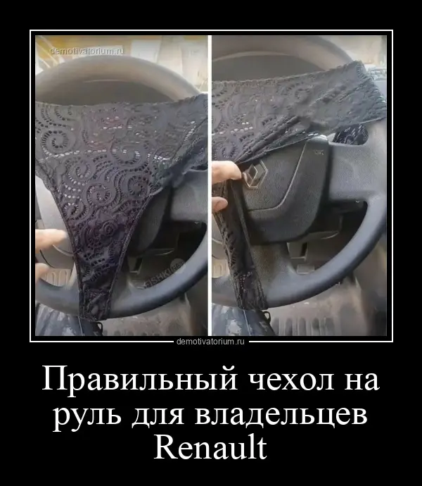 7477demotivatorium-ru-pravilnij-chehol-n