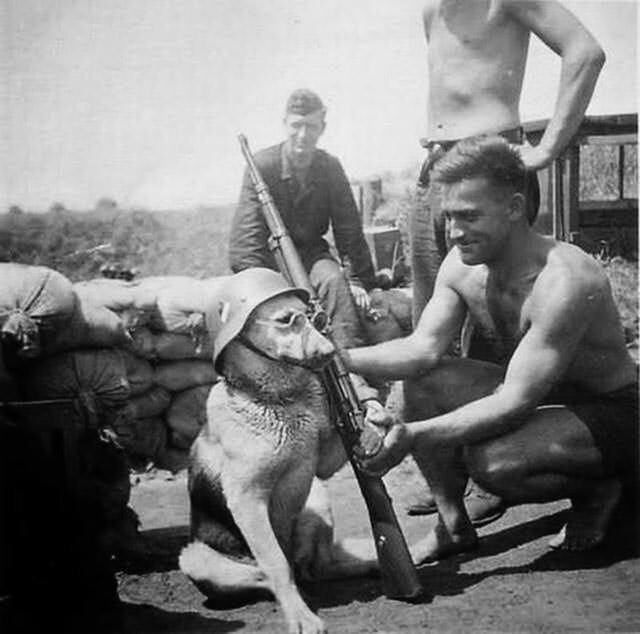 24. Солдат со своим псом, 1940 год